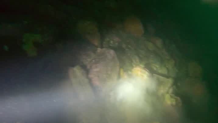 [Image: lr5zay34y2zo.jpg]