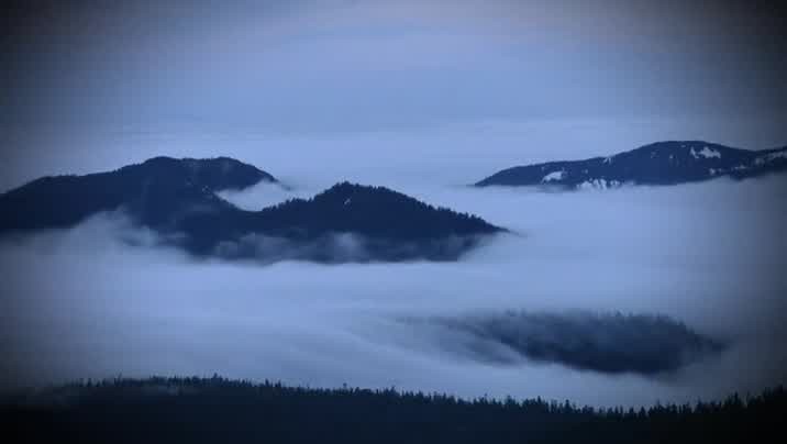 [Image: 9o8rw6gkndp2.jpg]