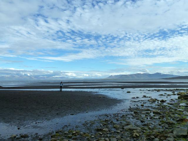 ISLANDIA en 11 DÍAS con 4x4 - Agosto 2016 - Blogs de Islandia - DÍA 8 (17/08/2016) –De Akureyri a Hvammstangi (17)
