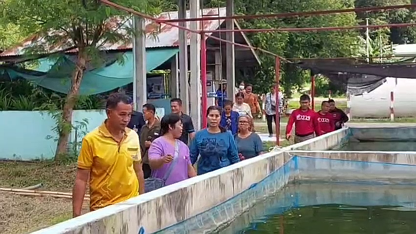 vlcsnap-2025-09-14-13h54m48s939