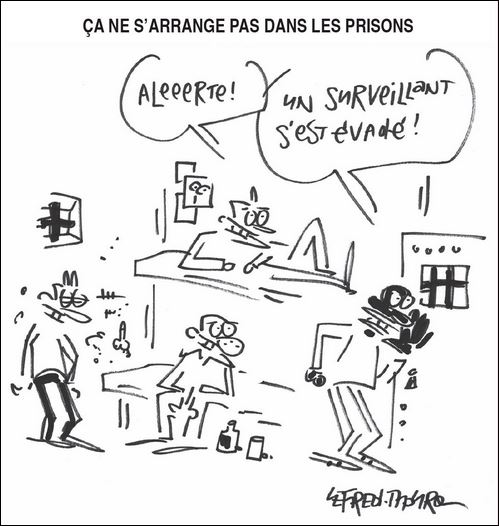 text alternatif