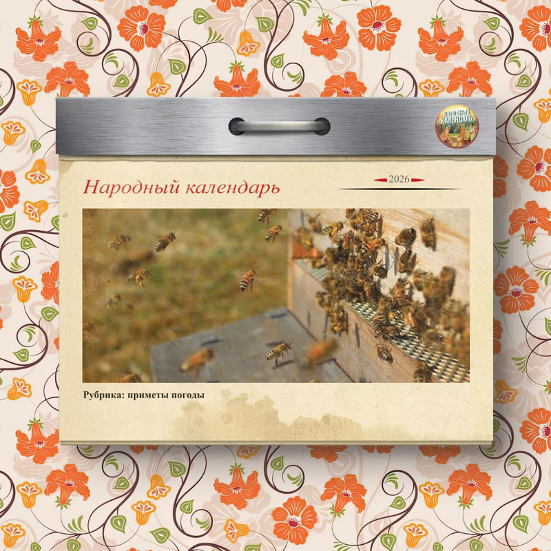 [Изображение: photo-2026-09-12-07-13-49.jpg]