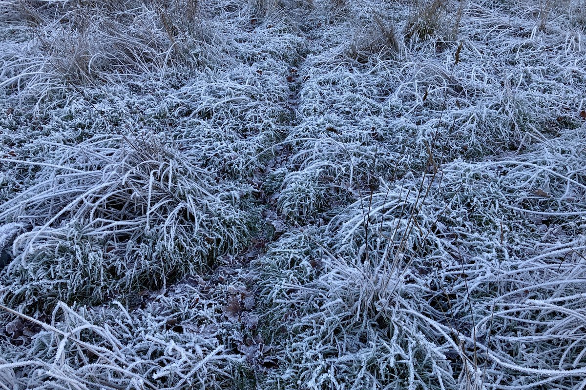 4F626B7D-34E2-47C7-B42A-DB04896F2FA5