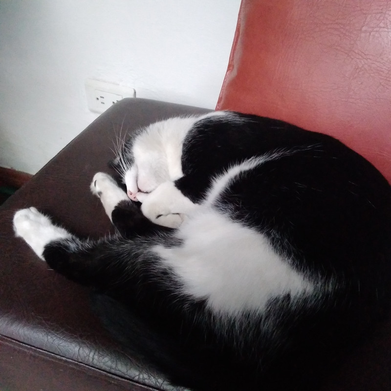 Зимовка 2026, полтора месяца в Колумбии.