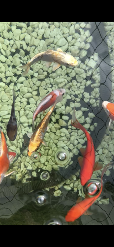 9E183817-7631-4A1D-BEB9-61DBE128D6BD