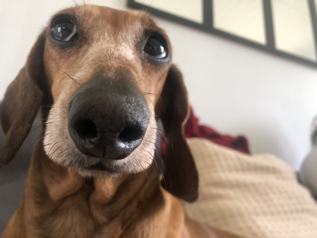 [Image: IMG-3180.jpg]