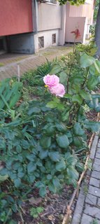 IMG_20230526_192715