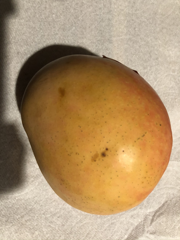 4098D3C3-15EC-43B2-9736-7D843A9A8AC2