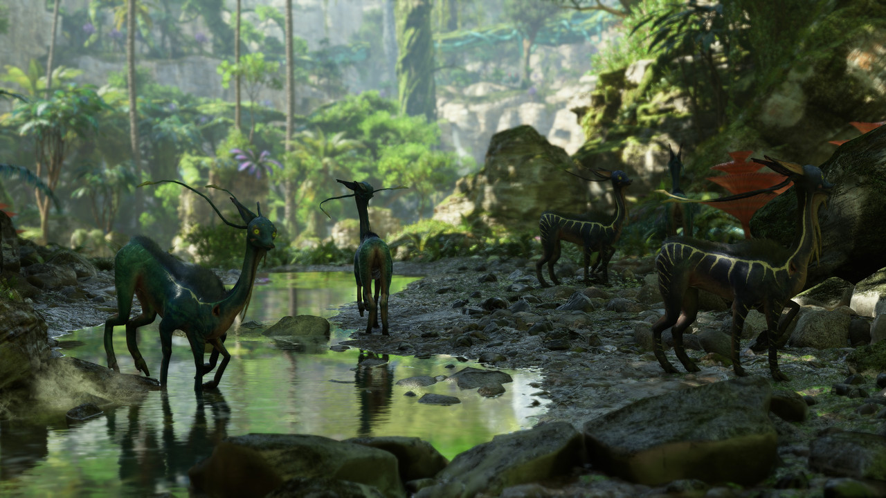 afop 2026 01 08 00 09 59 448