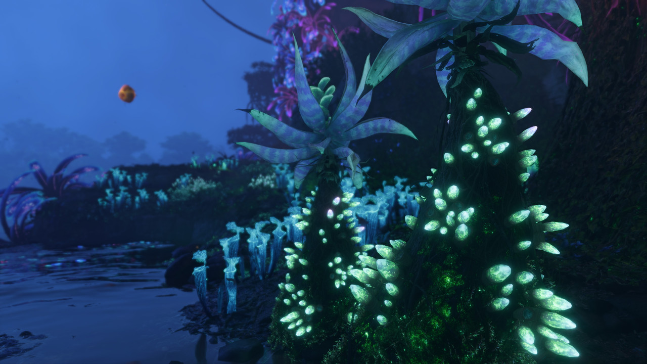 afop 2026 01 08 02 40 16 156