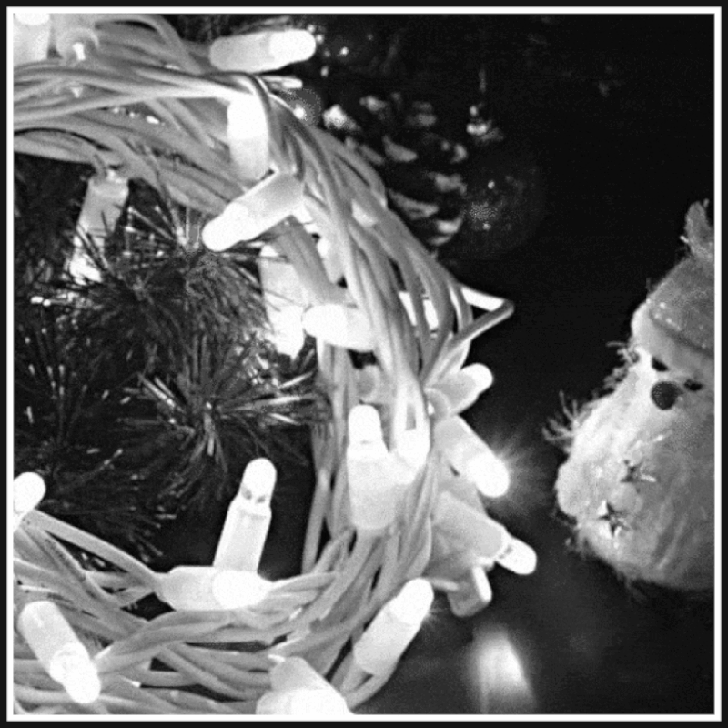 6FB1BB9E-85FA-4BDA-AD84-34613523868F