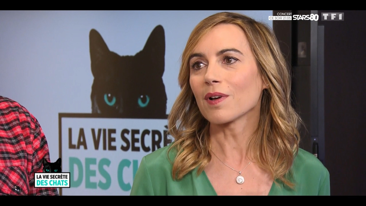 2020-05-30_10_35_TF1_La-vie-secrete-des-chats_Chats-et-sentiments-avec-Charlotte-Valan.mp4_snapshot_