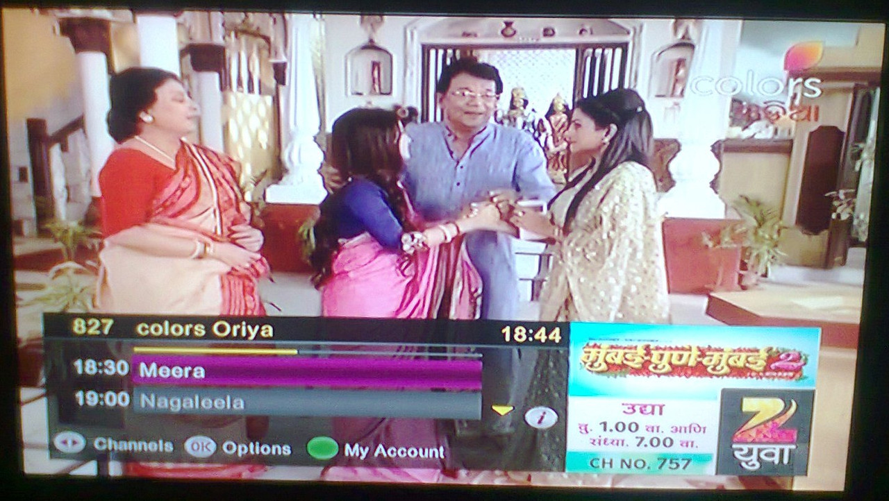 827 Colors Odia 1