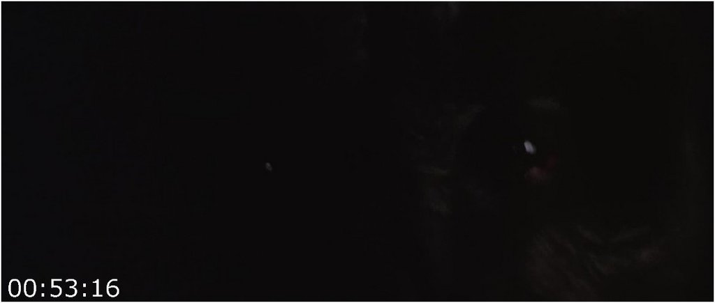 King-Kong-1976-FHDMastered-Hevc1080p-Blu-Ray-English-CZ-PHDTeam.jpg