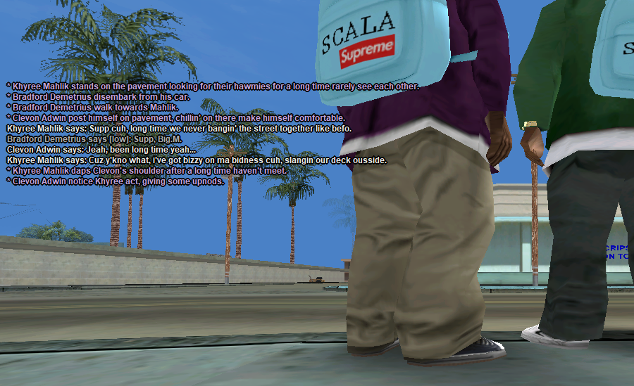 SSRP-20.png