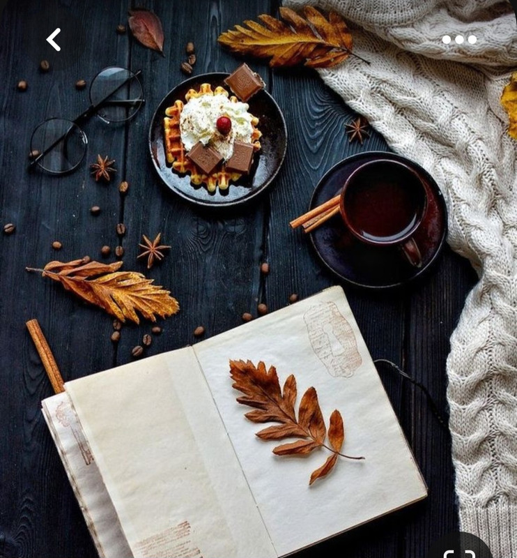 Screenshot_20230809_003702_Pinterest