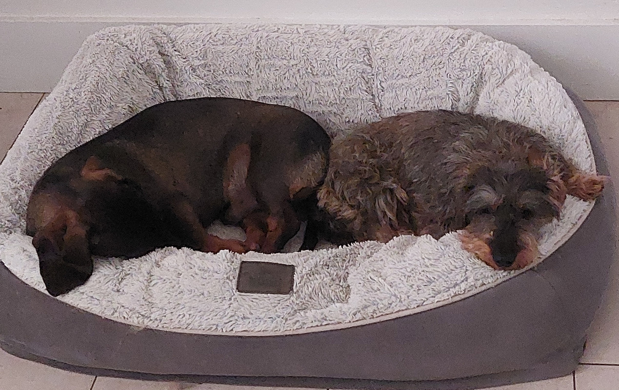 [Image: 20250712-111518.jpg]