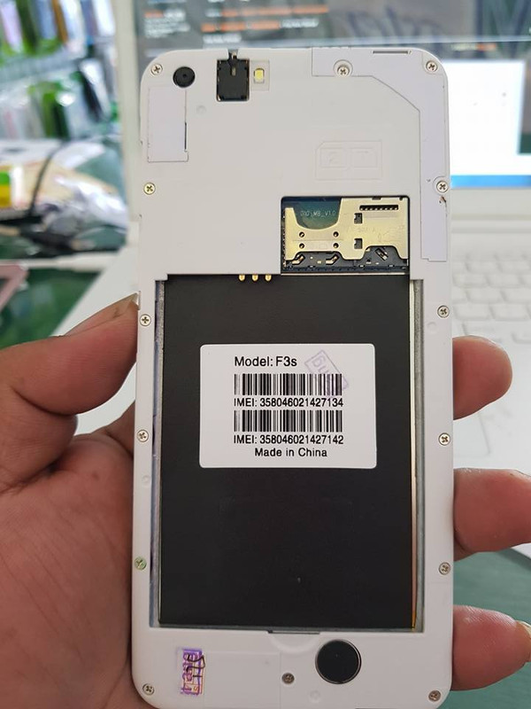 20728366_10209210790858778_8421764670512509015_n