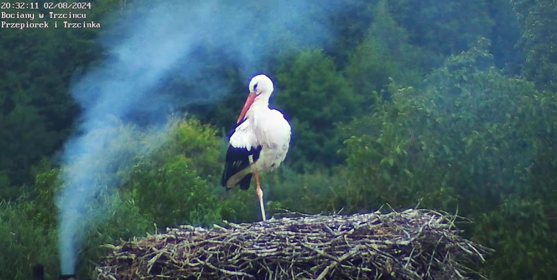 przepiorkugdziejestes