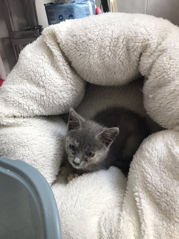 11966375-806D-4F6C-8A8C-C657440CDC5B