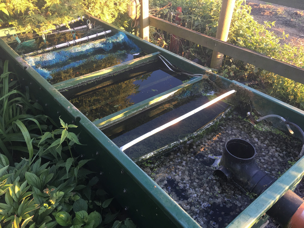 299AAAB1-779C-4AD9-BE6C-C6B3D27BA56C