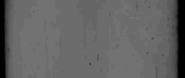 0A5ADD8A-B9F7-428B-9D5B-978C452AC963