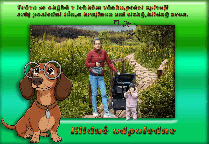 klidne-odpoledne