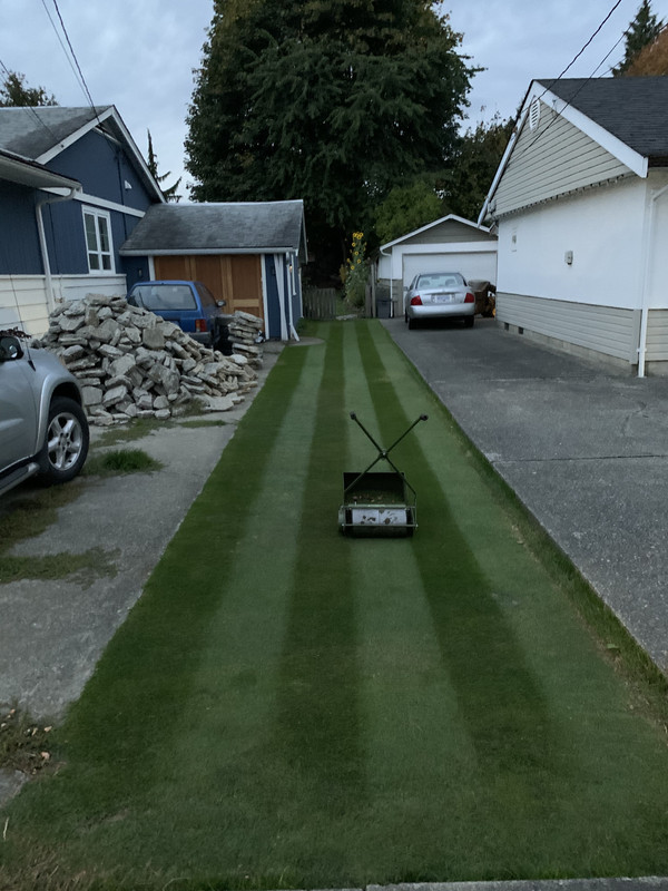 Another push reel mower thread