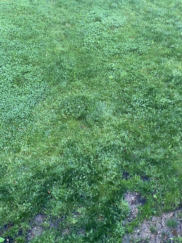 CBC32ED7-A20C-48ED-BDFE-6C0A5852B890