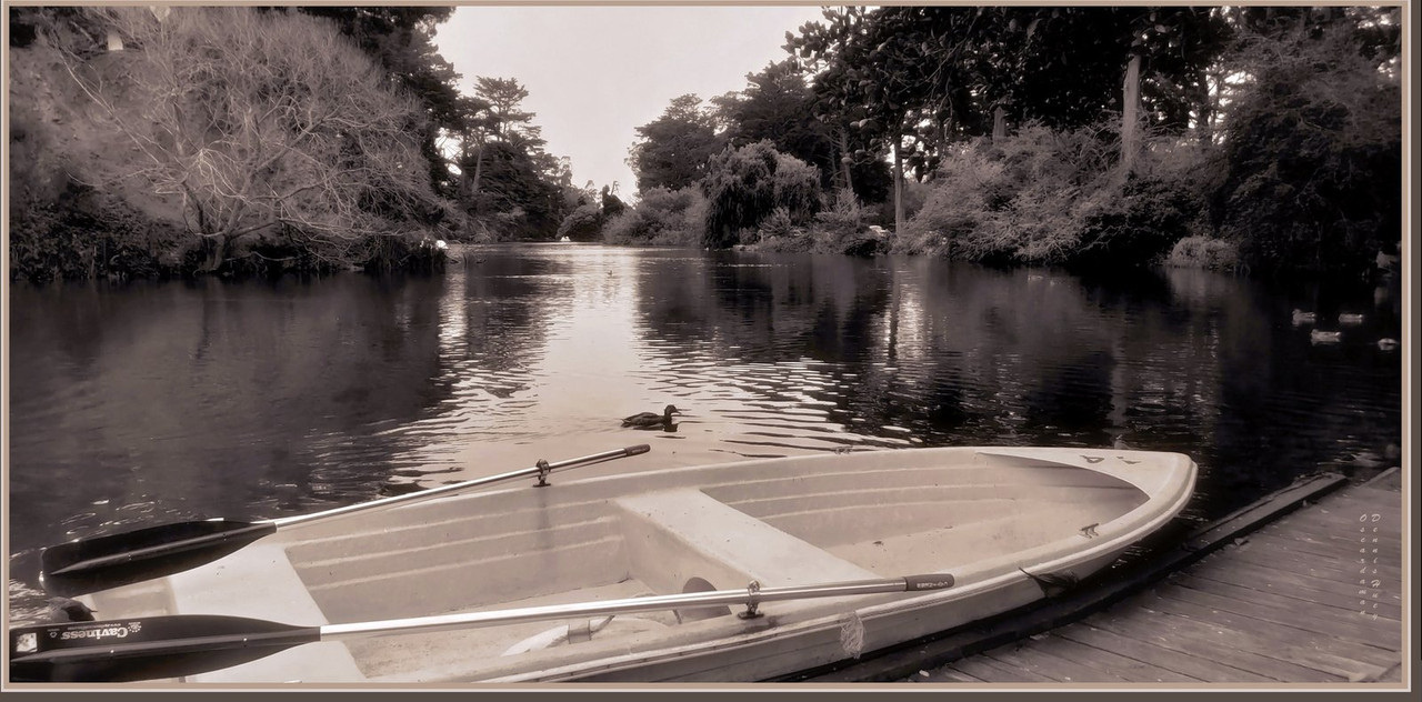 blacknwhite-lake-sanf-dis1.jpg