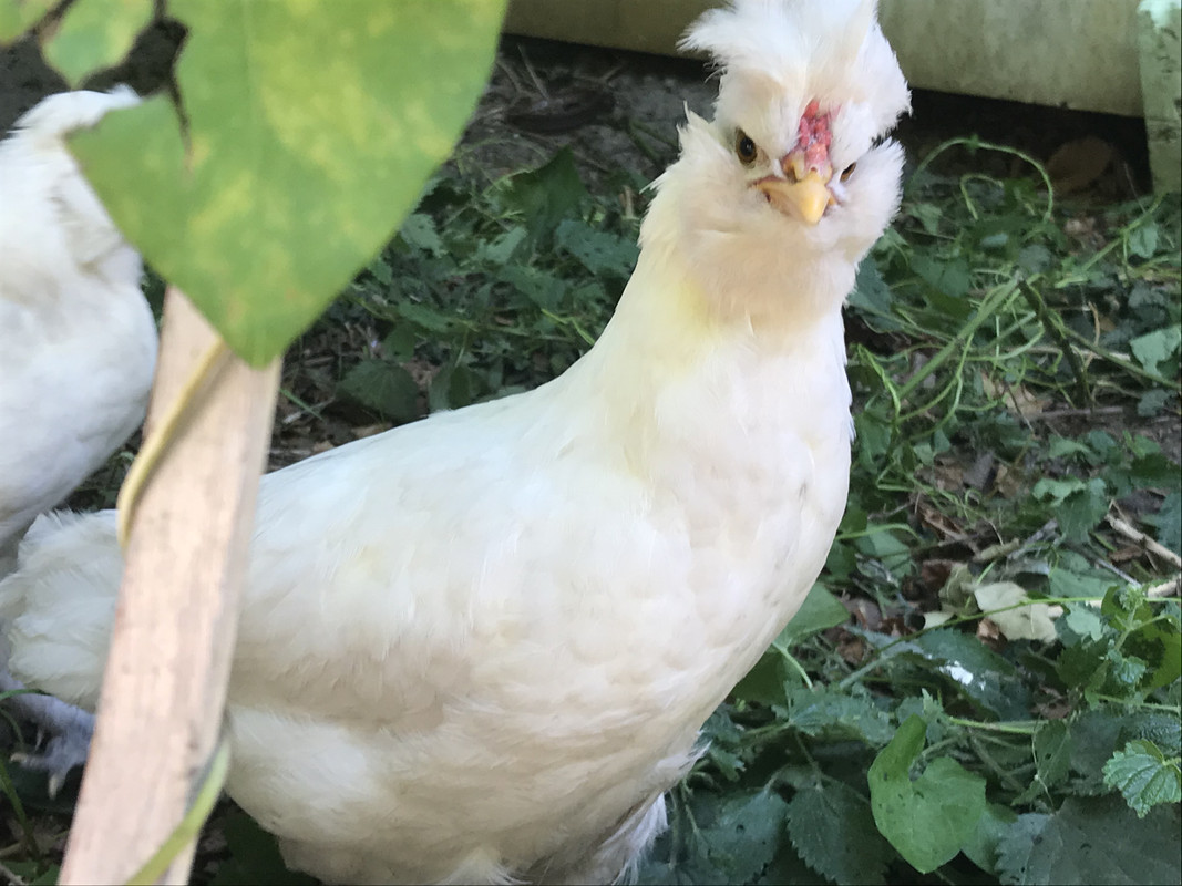 CE6E86AF-800E-41C2-BF73-BB669E83BAC5