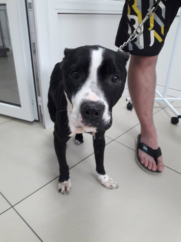 BC080870-0221-487B-A4C5-A96FC055F732