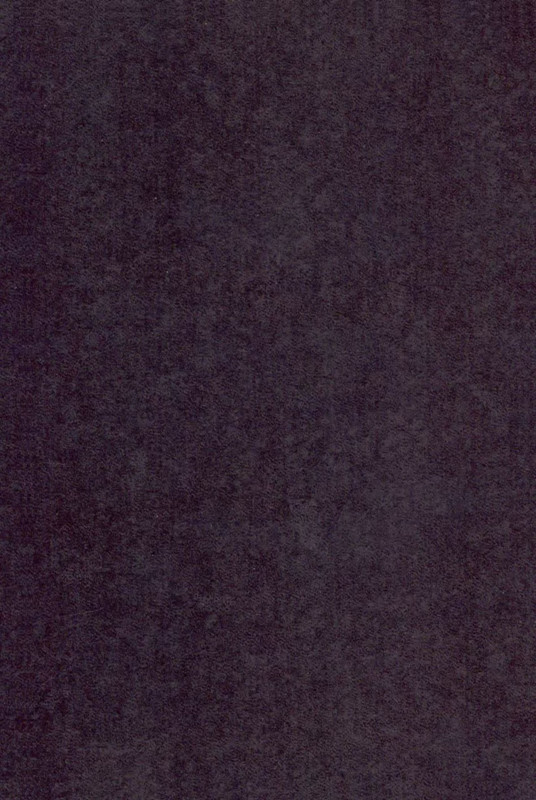 p0029