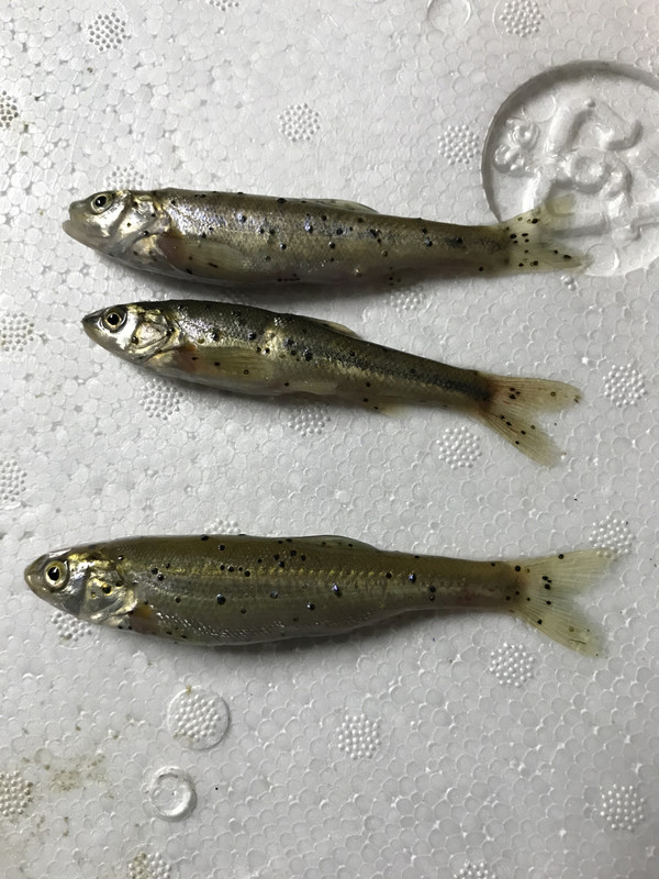 E0902A4C-DC85-4003-A847-7E0CBD67772D