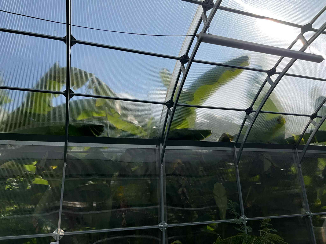 b9dcc05f 51b2 410d 898f 88153d0ca66f