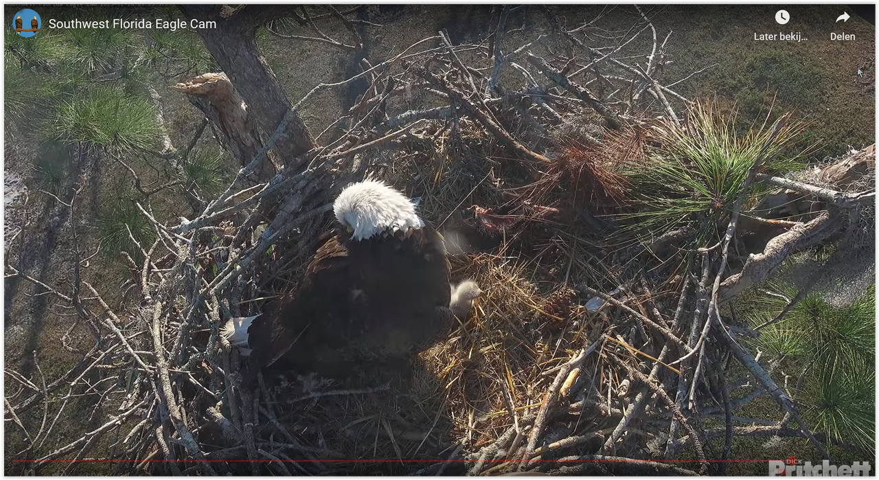 Screen Shot 12 26 25 at 04 09 PM