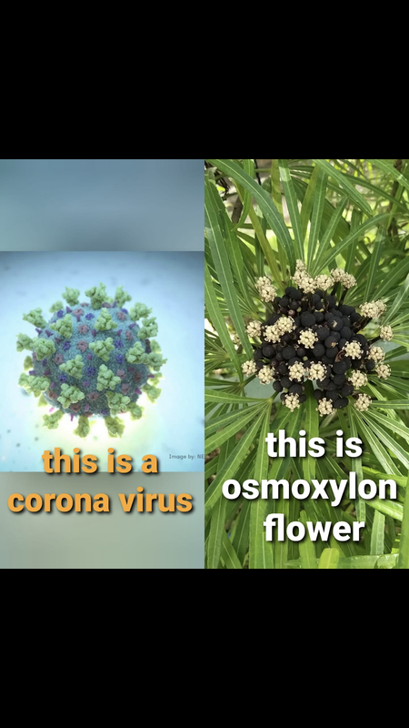 753CF529-1A08-4583-8795-EB4EF3A3B986