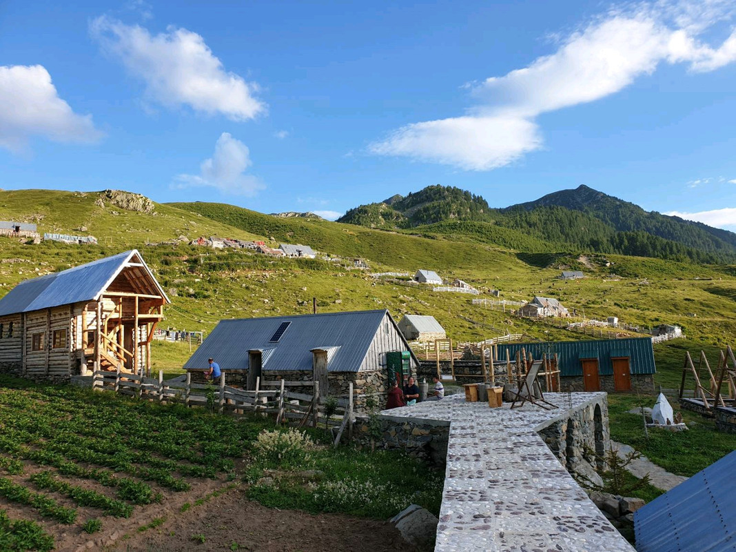 image_c390dea7-aba1-4c5c-93a6-00da2126f14820200807_113655