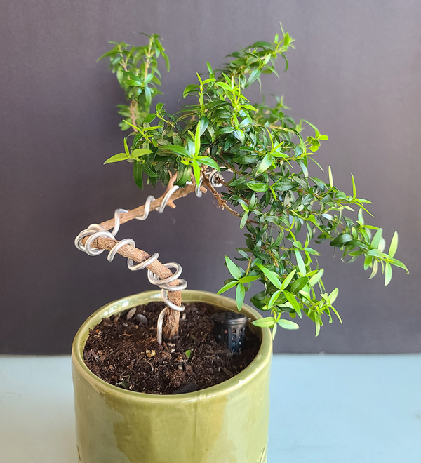 [Image: 2025-11-10-094857.png]