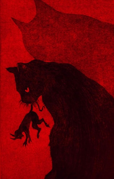 chat noir chat noir