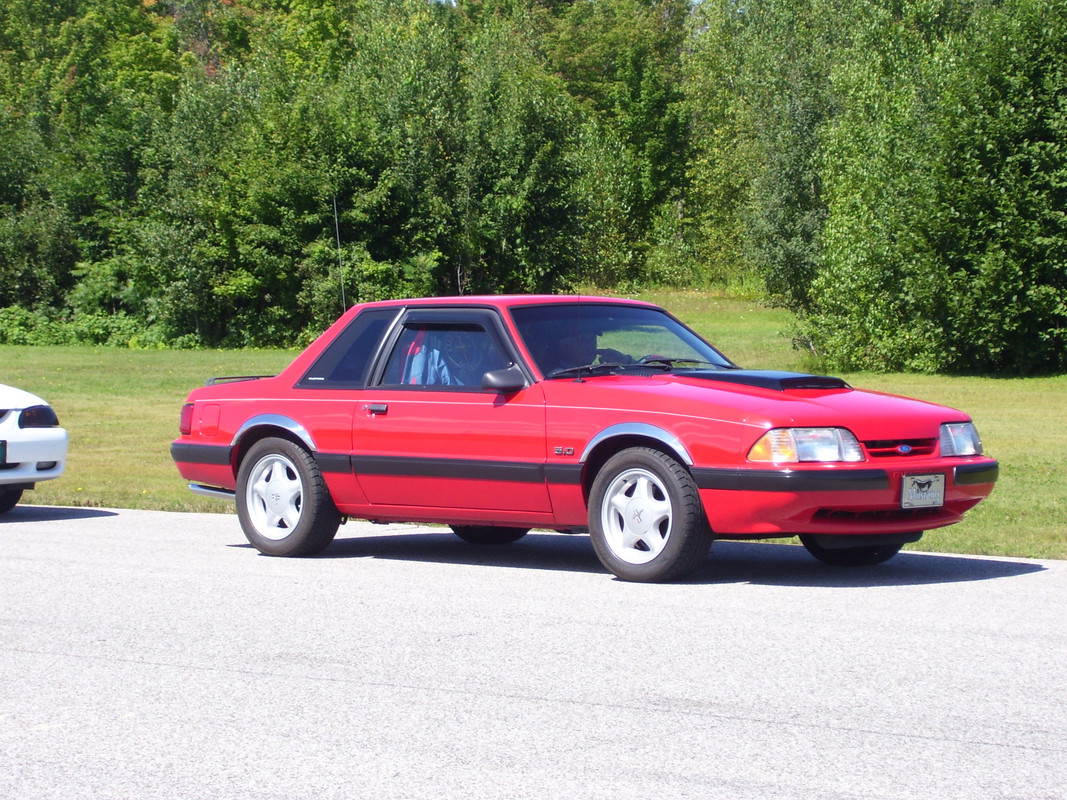 ford - Montréal Mustang: 40 ans et + d’activités! (Photos-Vidéos,etc...) - Page 19 100-0516