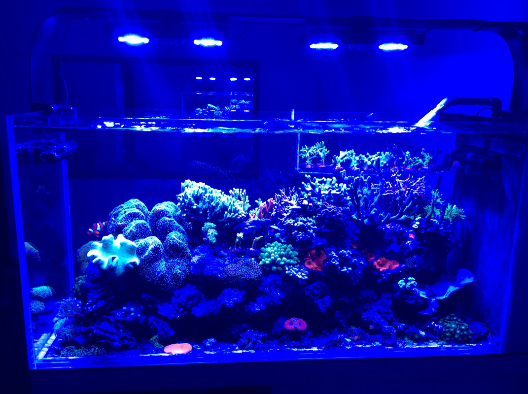 DF8DF95F-0267-42A7-83B2-8315365A5A9E