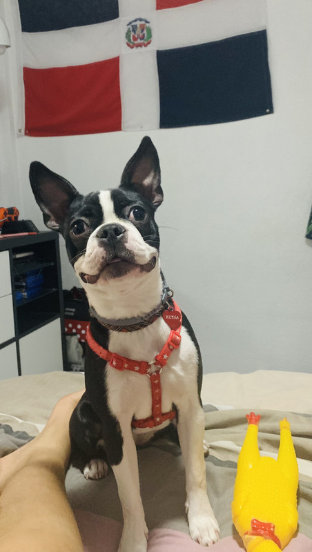 8712FBFD-D1CB-44EF-8620-9ECBA763F707