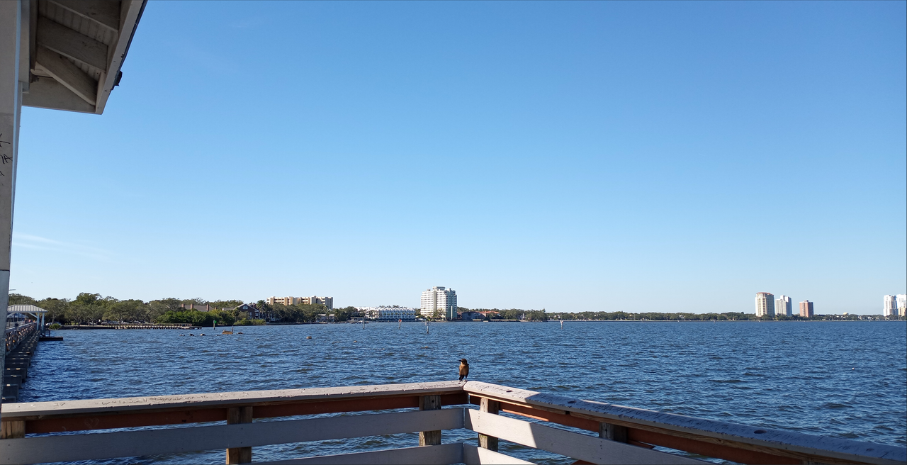 [Image: Ballast-Point-Park-Tampa-FL2-A.png]