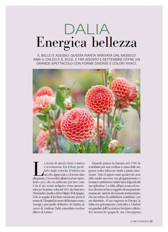 Il Mio Giar Ago-Set 2025 (8)