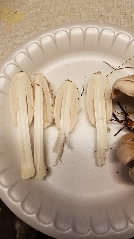 20181010_160159