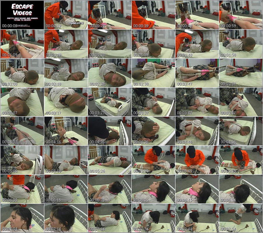 bound_and_gagged_video_1365.wmv