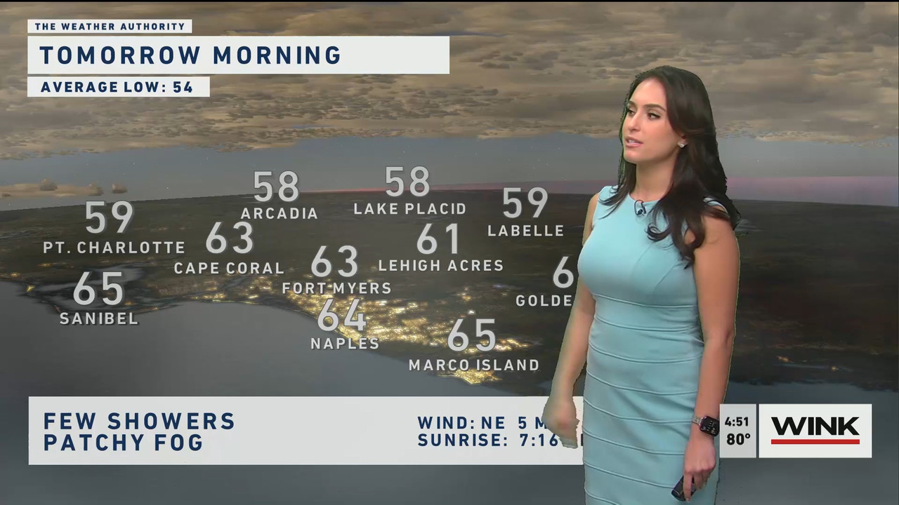 01.21 - 21.00.00 - WINK News at 4 00 p.m._001.ts_snapshot_06.21.556
