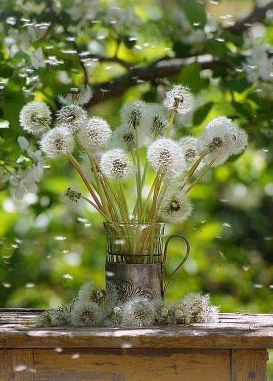 Доброе утро с одуванчиками картинки красивые необычные