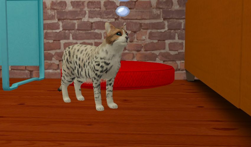 Sims2-EP9-2021-02-21-15-30-24-85